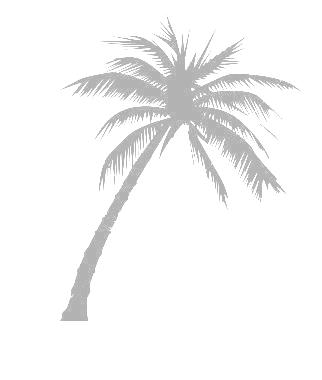 palm-tree.jpg